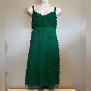 Eva Franco (Anthropologie) Floral Appliqué Green Sleeveless Dress